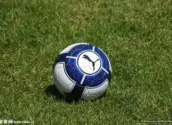 东京奥运拳,击亚洲大区,预选赛中国,PP电子,PP电子官网,PP电子娱乐,PP电子游戏,PP电子视讯