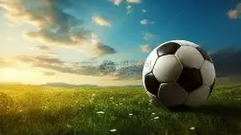 雨菲力克群芳，勇摘澳门羽球公开赛女单桂冠